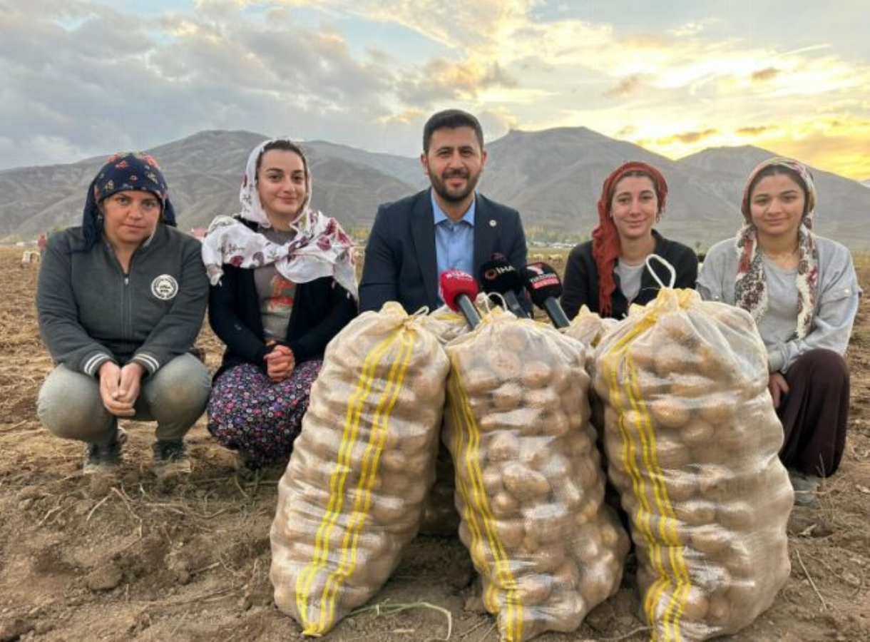 Toprağından bereket fışkırıyor:  Ton ton patates elde edildi