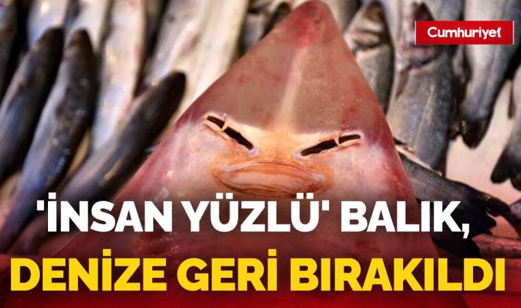 Nesli azalan tür olan 'insan yüzlü balık' ağlara takıldı