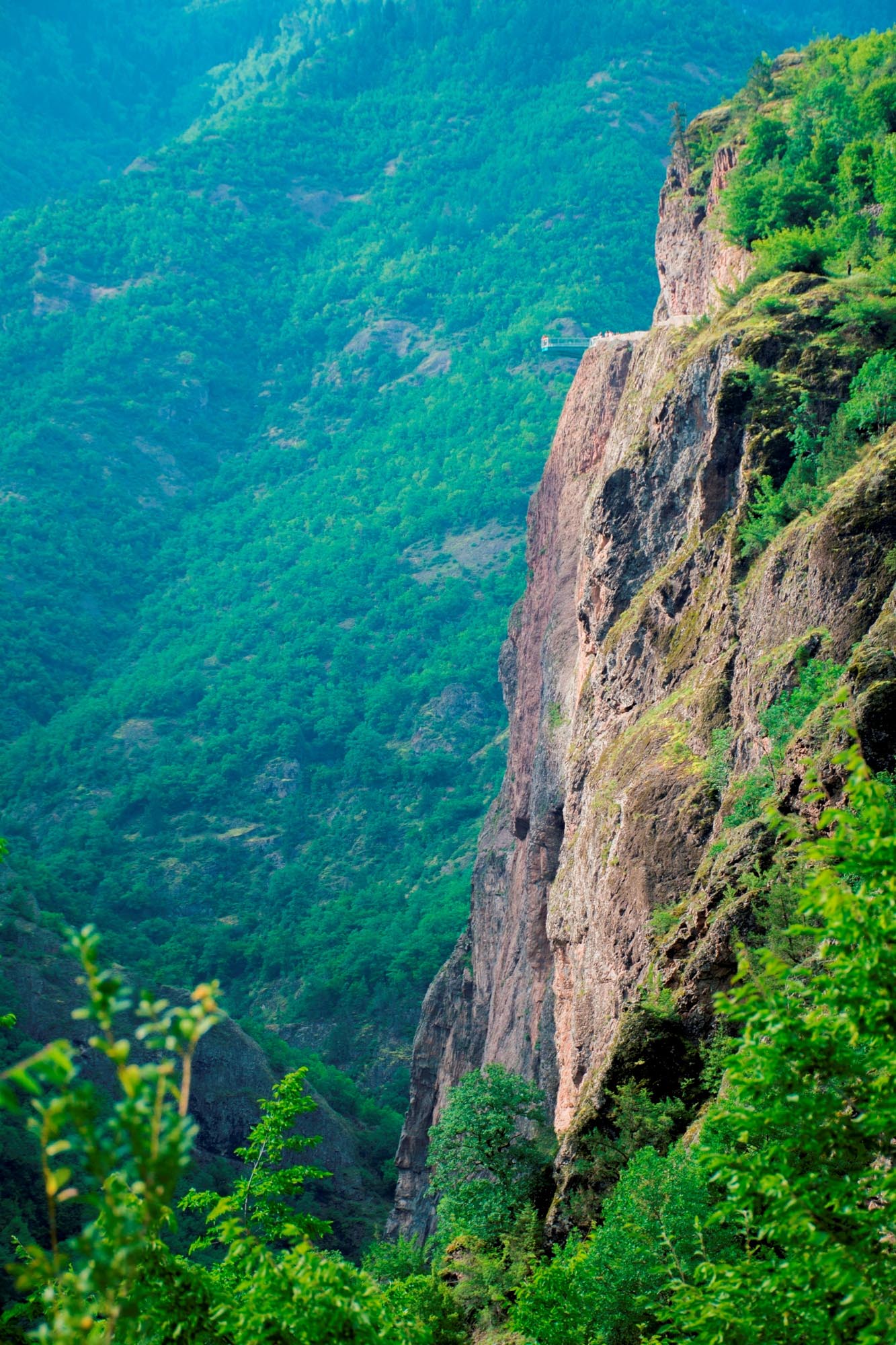 Artvin'de şüpheli ölüm: Cam seyir terasından düşen kadın hayatını kaybetti