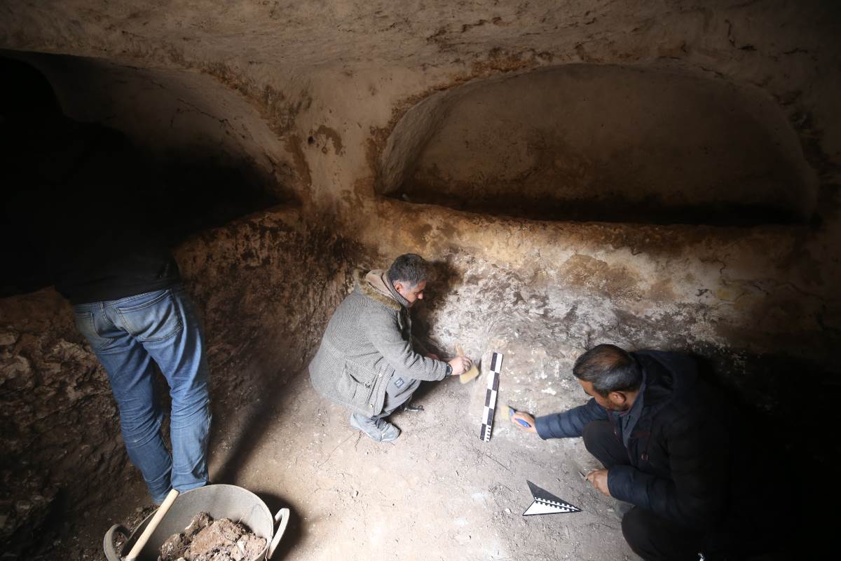 Mardin'deki kazılarda 1500 yıllık Anadolu leoparı kemikleri bulundu