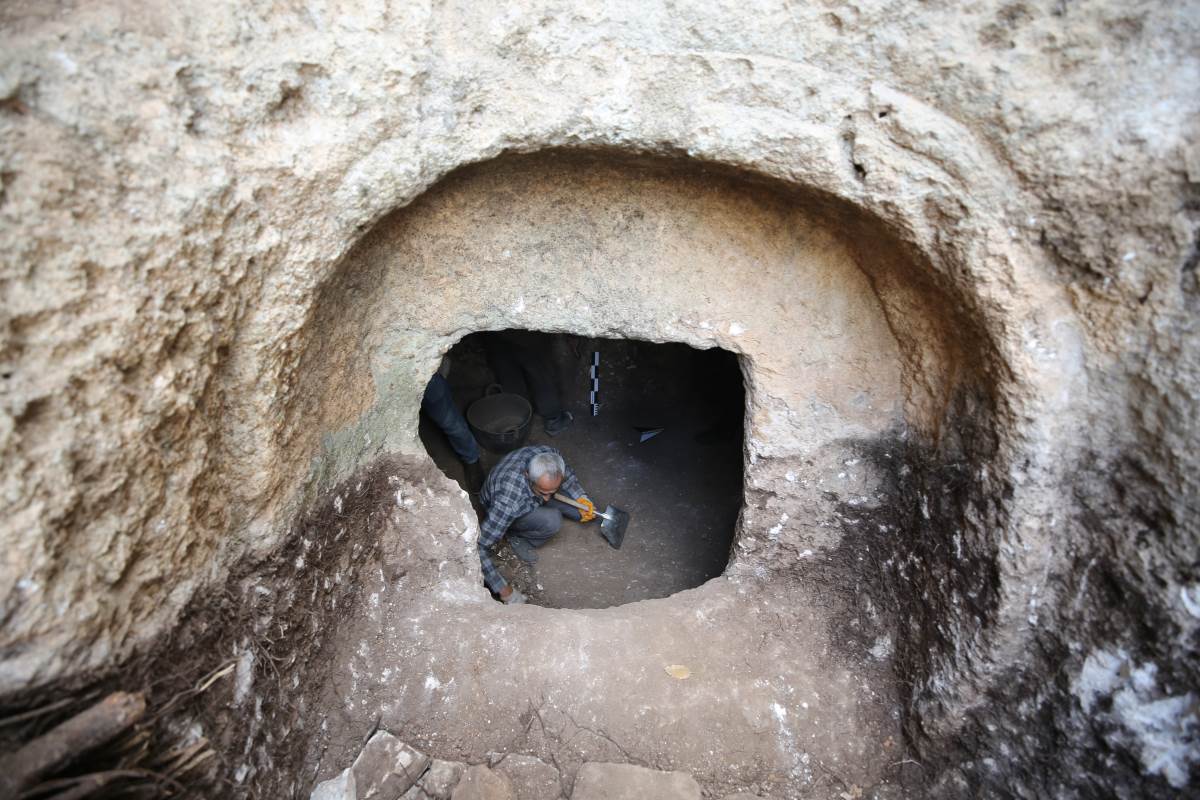 Mardin'deki kazılarda 1500 yıllık Anadolu leoparı kemikleri bulundu