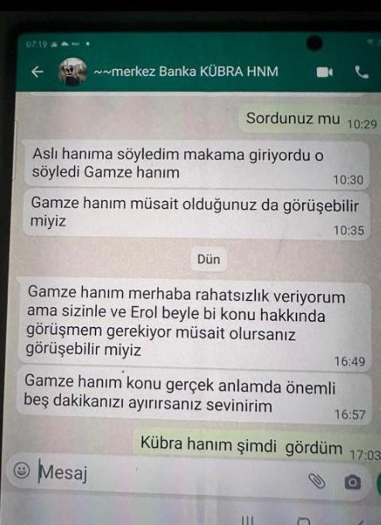 Merkez Bankası'nda kriz sürüyor... Ve baba Erol Erkan konuştu: Düğmeye bastılar