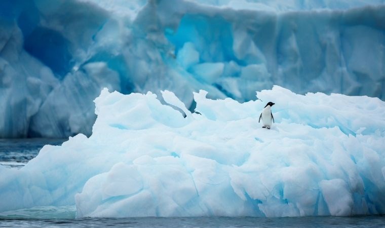 Türk turizmci, seyahat tutkunlarını uçakla Antarktika’ya indiriyor