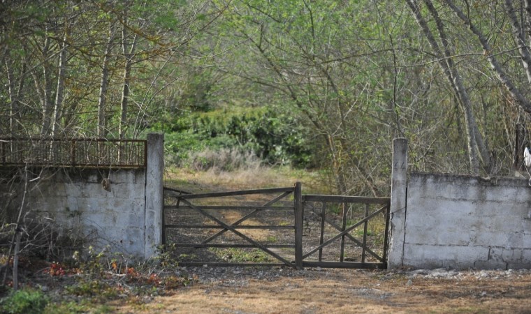 Korhan Berzeg'den 300 gündür haber yok: 'Umudumuz kalmadı, ailesi evi kapattı'