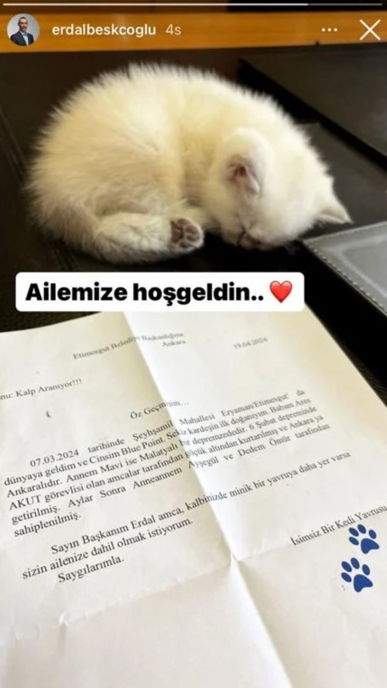 Erdal Beşikçioğlu depremzede kedinin yavrusunu sahiplendi