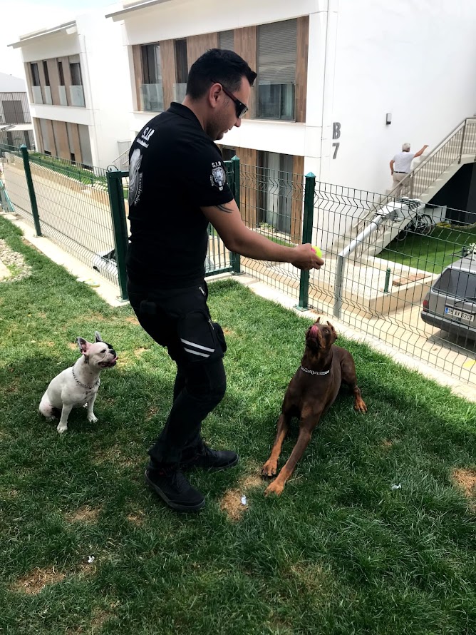 S.I.R K9 Köpek Eğitim Akademisi: Sahip ve Köpek İçin Uyum Eğitimleri